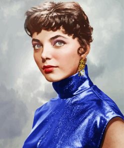 Beautiful Joan Collins Paint By Numbers