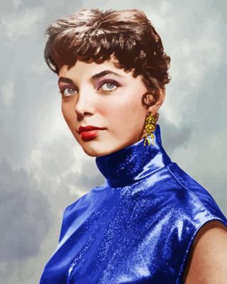 Beautiful Joan Collins Paint By Numbers