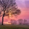 Beautiful Misty Sunrise Paint By Numbers