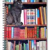 Black Cat On Bookshelf Paint By Numbers