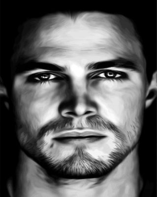 Black And White Stephen Amell Paint By Numbers