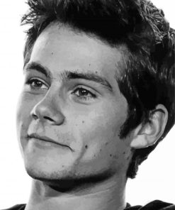 Black And White Dylan O'Brien Paint By Numbers