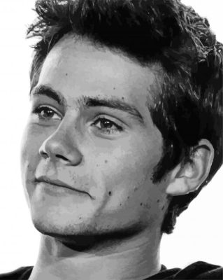 Black And White Dylan O'Brien Paint By Numbers