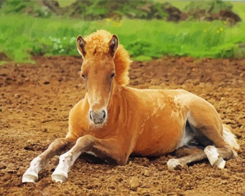 Blond Horse Foal Paint By Numbers