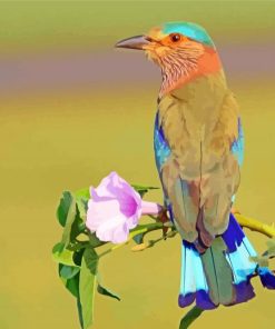 Blue Indian Roller Paint By Numbers