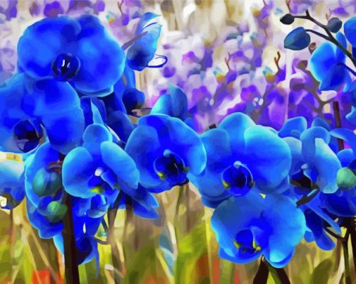 Blue Orchid Paint By Numbers