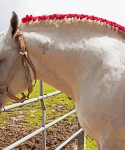 Braided Percheron Horse Paint By Numbers