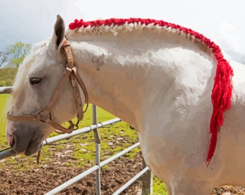 Braided Percheron Horse Paint By Numbers