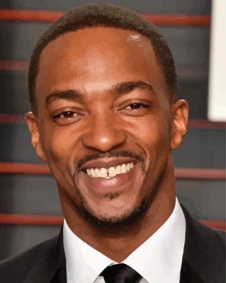 Classy Anthony Mackie Paint By Numbers