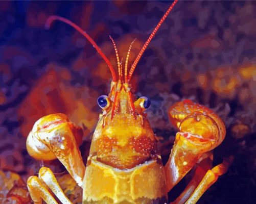 Close Up Golden Crayfish Paint By Numbers