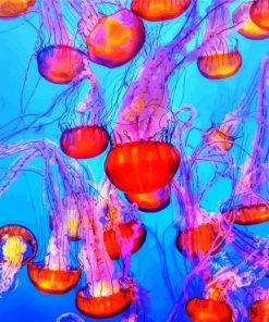 Colorful Jellyfish Underwater Paint By Numbers