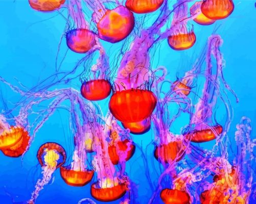 Colorful Jellyfish Underwater Paint By Numbers