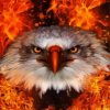 Cool Fire Eagle Paint By Numbers