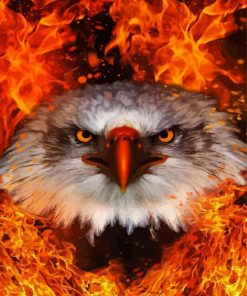 Cool Fire Eagle Paint By Numbers