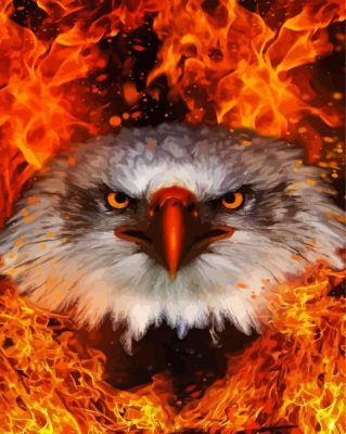 Cool Fire Eagle Paint By Numbers