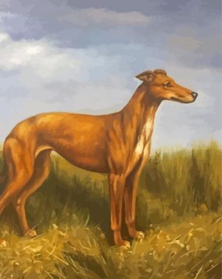 Cool Lurcher Dog Paint By Numbers