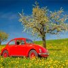 Cool VW Beetle And Cherry Blossom Paint By Numbers