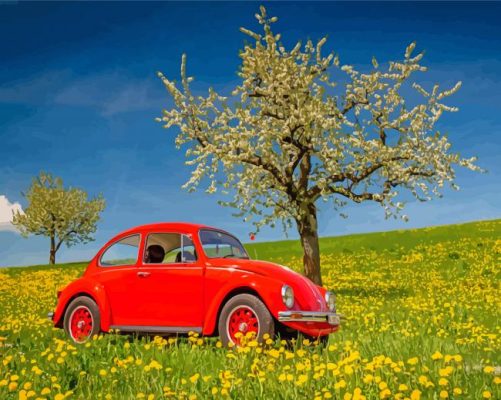 Cool VW Beetle And Cherry Blossom Paint By Numbers