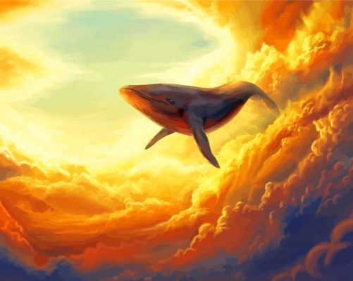 Cool Sky Whale Paint By Numbers