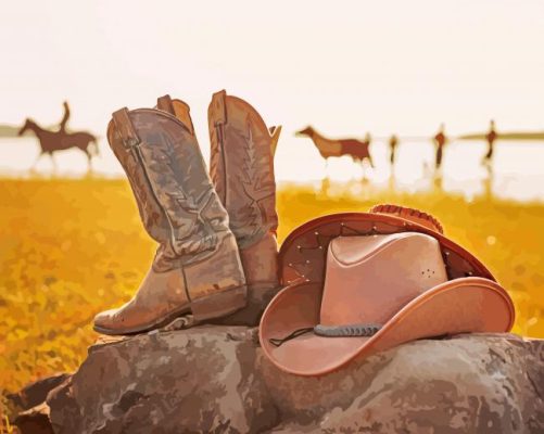 Cowboy Hat And Boots Paint By Numbers