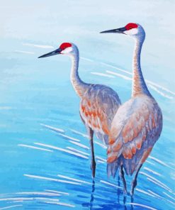 Crane In Water Paint By Numbers