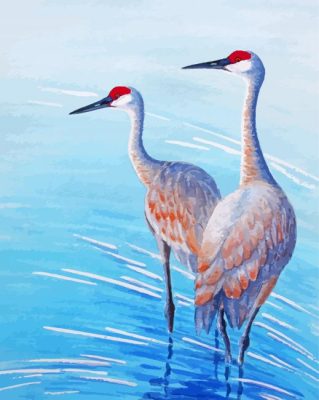 Crane In Water Paint By Numbers