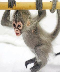Spider Monkey Animal Paint By Numbers