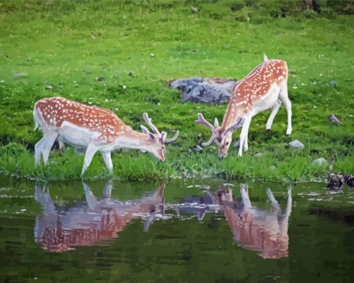 Deer In The River Paint By Numbers