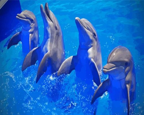 Adorable Dolphins Paint By Numbers