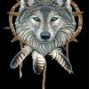 Dream Catcher Wolf Paint By Numbers