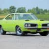 Green Super Bee Paint By Numbers