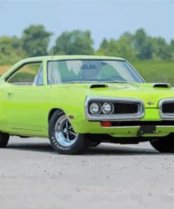 Green Super Bee Paint By Numbers
