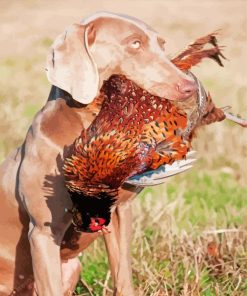 Hunting Dog With Pheasant Its Mouth Paint By Numbers