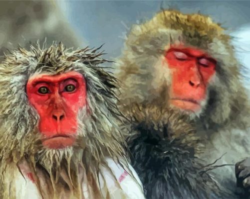 Japanese Snow Monkey Paint By Numbers