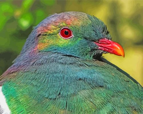 Kereru Head Paint By Numbers