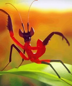 Kung Fu Mantis Insect Paint By Numbers