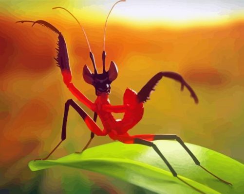 Kung Fu Mantis Insect Paint By Numbers