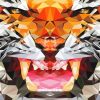 Mad Geometric Tiger Paint By Numbers