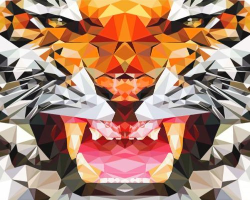 Mad Geometric Tiger Paint By Numbers