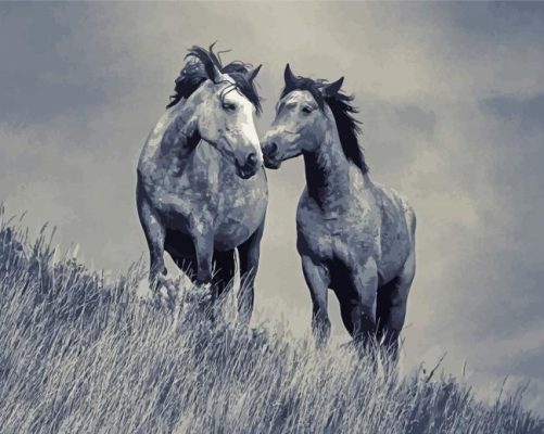 Monochrome Horse Couple Paint By Numbers