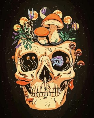 Mushroom Skull Paint By Numbers