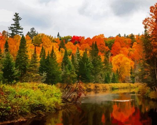 New England In The Fall Landscape Paint By Numbers