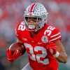 Ohio State Football Players Paint By Numbers