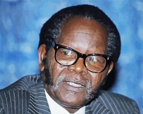 Oliver Tambo Paint By Numbers