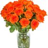 Orange Roses Paint By Numbers