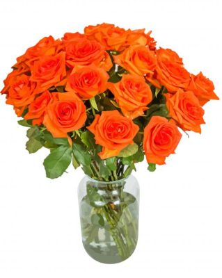 Orange Roses Paint By Numbers