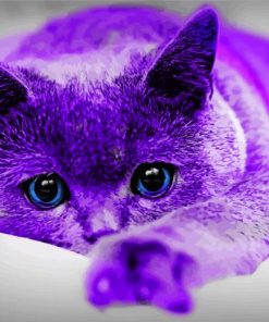 Purrple Cat Paint By Numbers