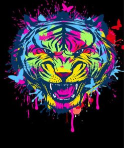 Rainbow Splash Tiger Paint By Numbers