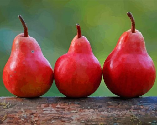 Red Pears In A Row Paint By Numbers