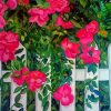 Pink Roses On A White Picket Fence Paint By Numbers